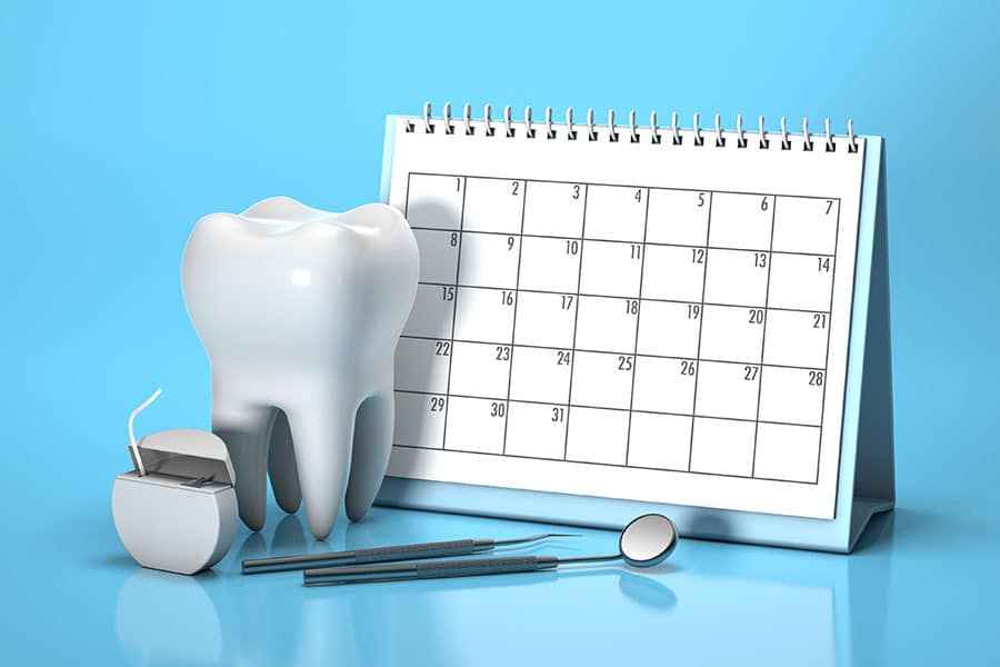 A calendar and tooth model
